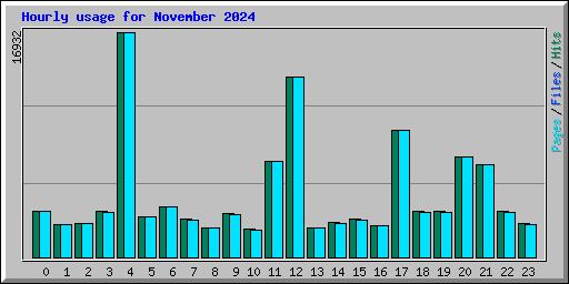 Hourly usage for November 2024