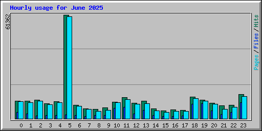 Hourly usage for June 2025