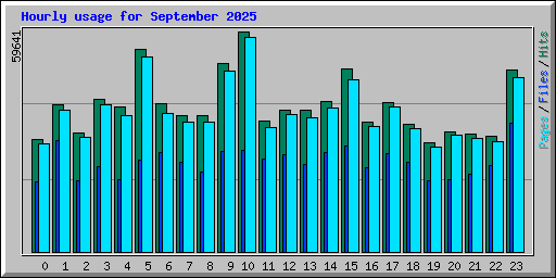 Hourly usage for September 2025