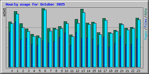 Hourly usage for October 2025